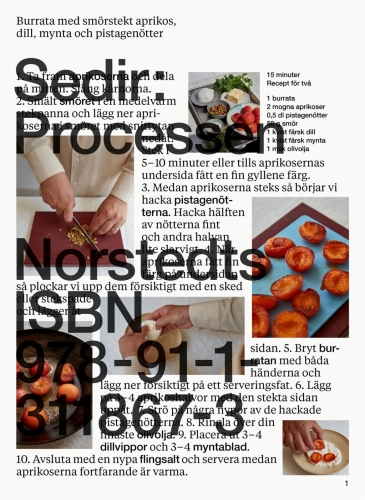 Sedir: Processen - Sedir Ajeenah