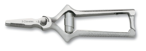 Gerader Masticator, Schere für rohes Fleisch - 3 Claveles