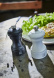 Salzmühle, 10 cm, Bistro, Weiß - Peugeot