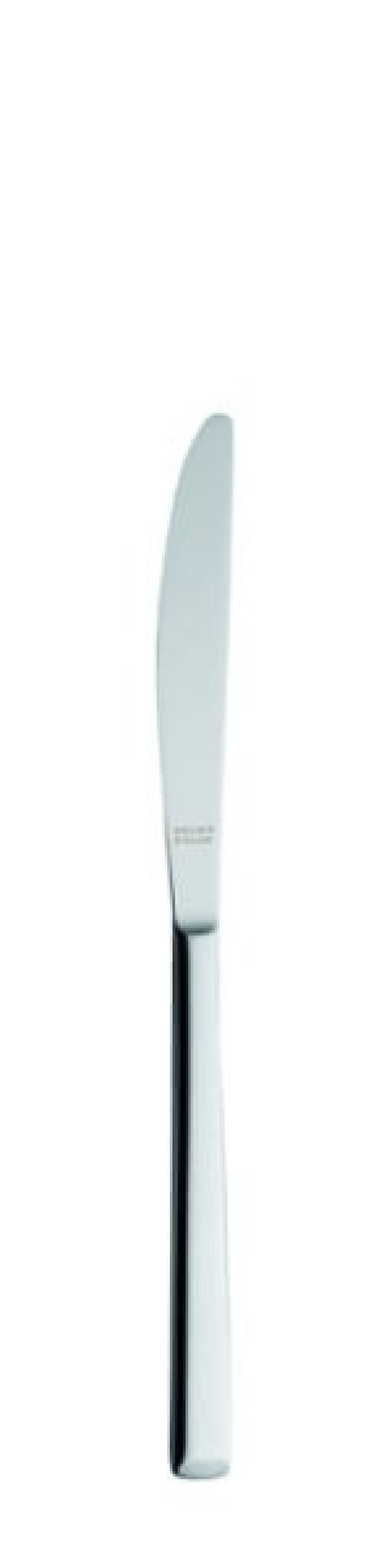Laura Tafelmesser 221 mm - Solex in der Gruppe Tischgedeck / Besteck / Messer bei The Kitchen Lab (1284-21494)