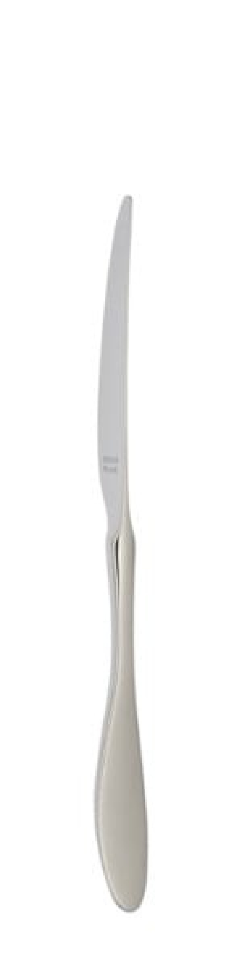Terra Tafelmesser 239 mm - Solex in der Gruppe Tischgedeck / Besteck / Messer bei The Kitchen Lab (1284-21641)
