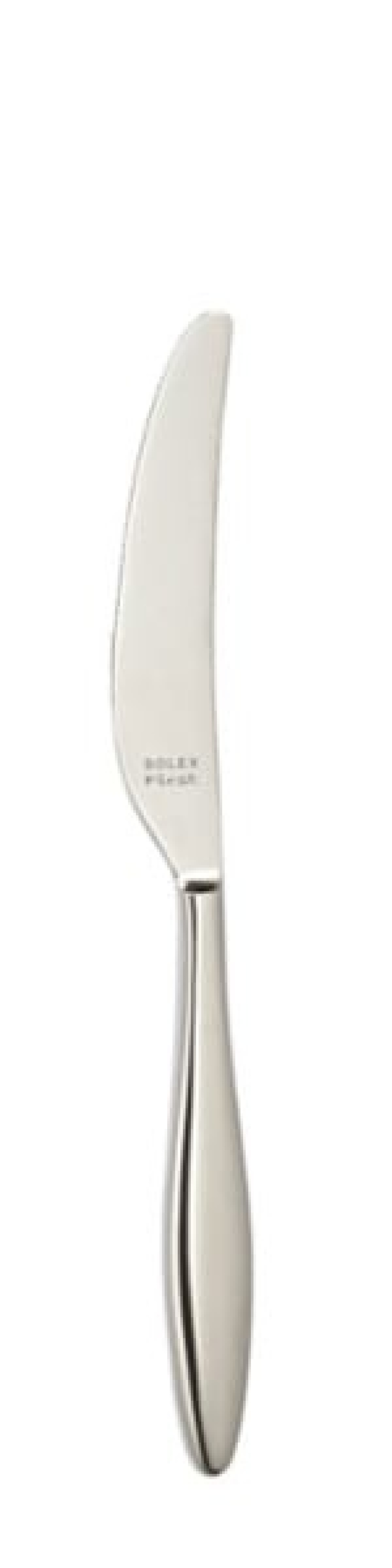 Terra Tafelmesser 240 mm - Solex in der Gruppe Tischgedeck / Besteck / Messer bei The Kitchen Lab (1284-21643)