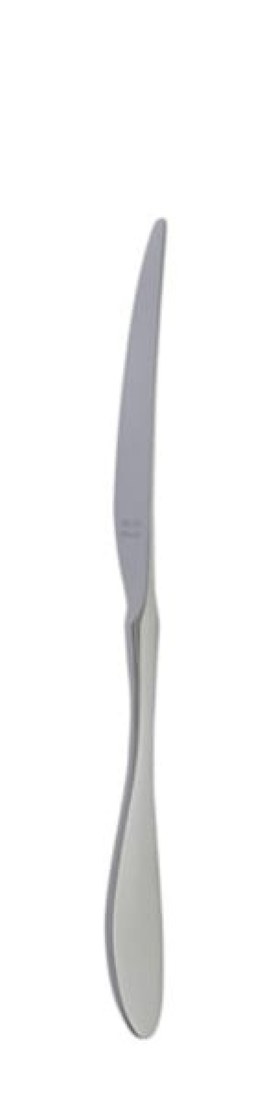 Terra Retro Tafelmesser 239 mm - Solex in der Gruppe Tischgedeck / Besteck / Messer bei The Kitchen Lab (1284-21659)