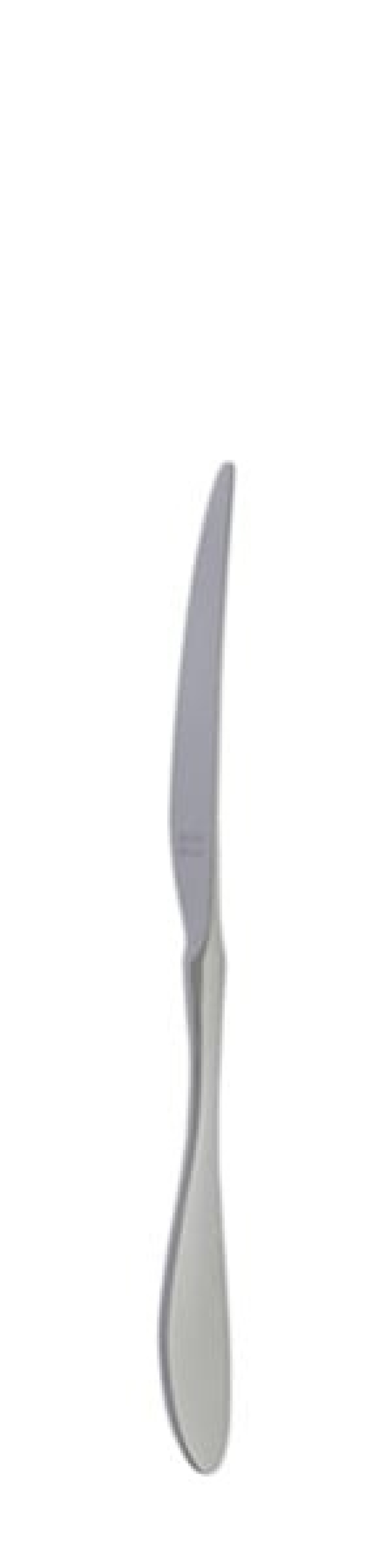 Terra Retro Dessertmesser 210 mm - Solex in der Gruppe Tischgedeck / Besteck / Messer bei The Kitchen Lab (1284-21660)