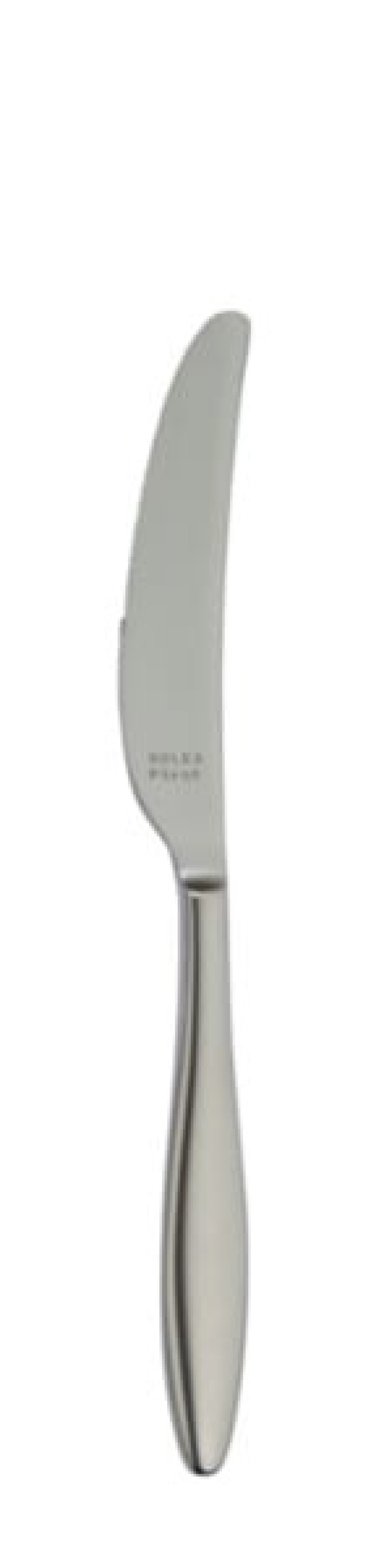 Terra Retro Tafelmesser 240 mm - Solex in der Gruppe Tischgedeck / Besteck / Messer bei The Kitchen Lab (1284-21661)