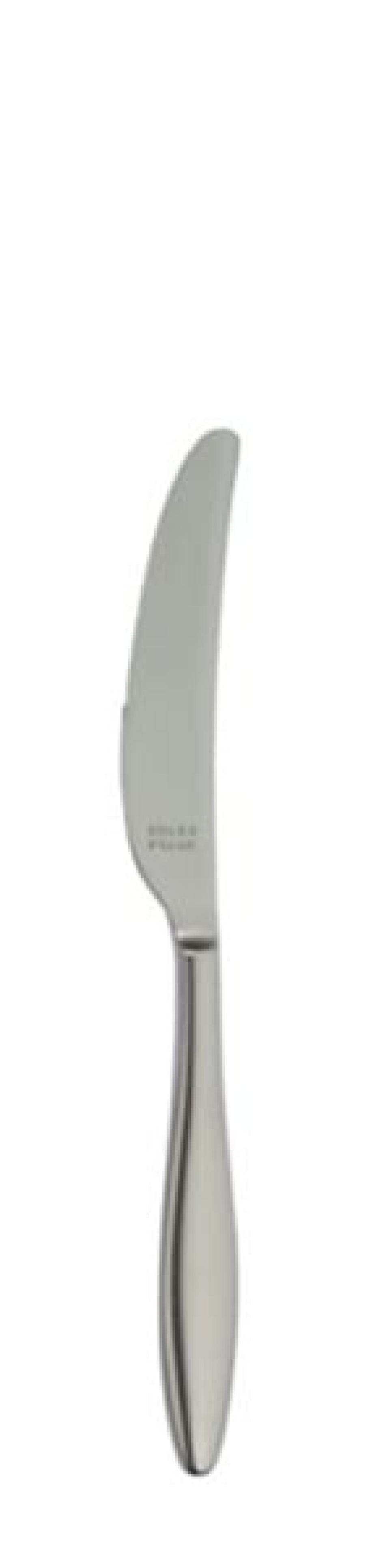 Terra Retro Dessertmesser 216 mm - Solex in der Gruppe Tischgedeck / Besteck / Messer bei The Kitchen Lab (1284-21662)