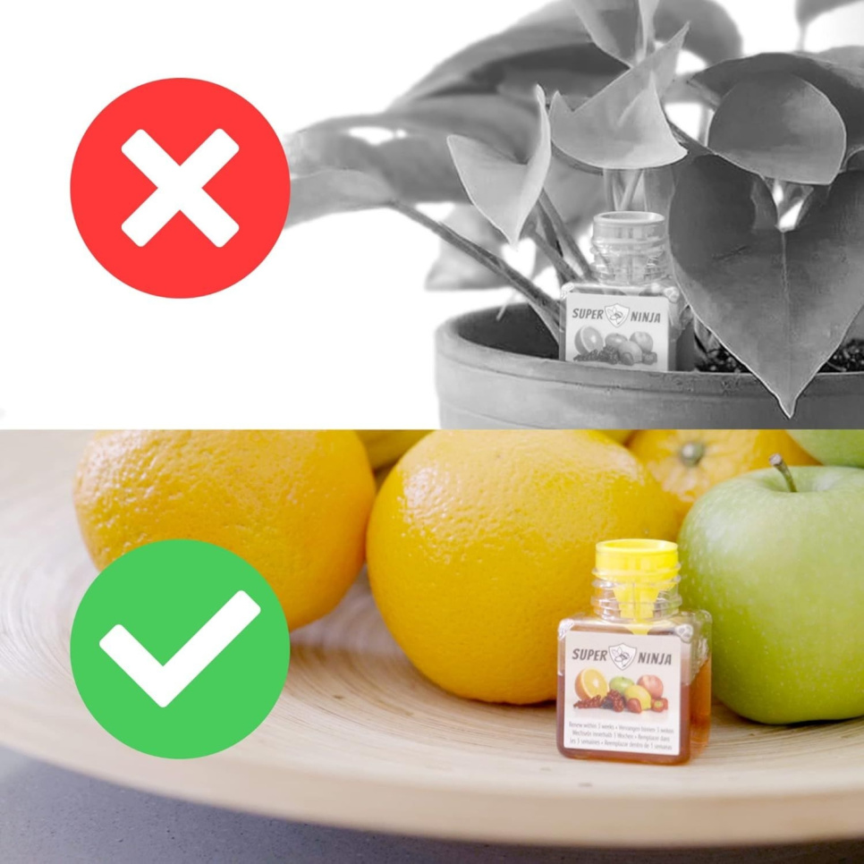 Fruchtfliegenfalle - Super Ninja