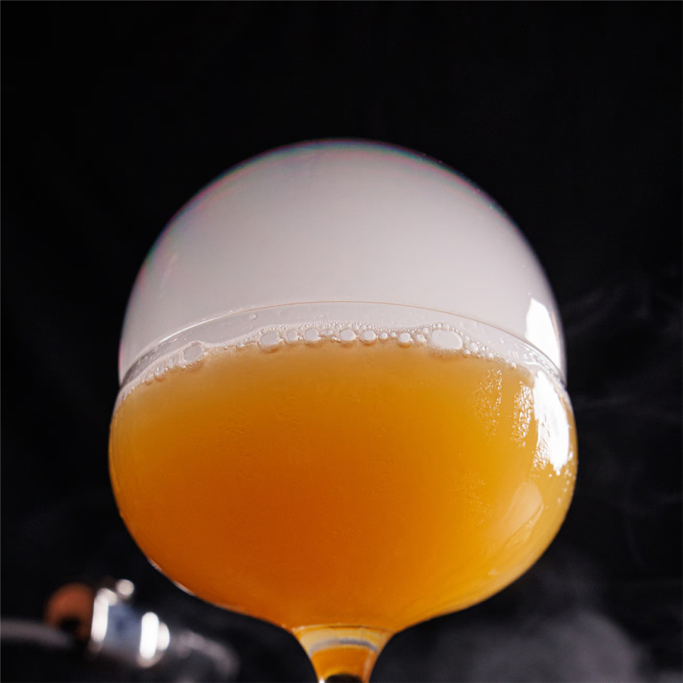 The Smoke Bubble™ Kit Breville / Sage / Polyscience Commercial