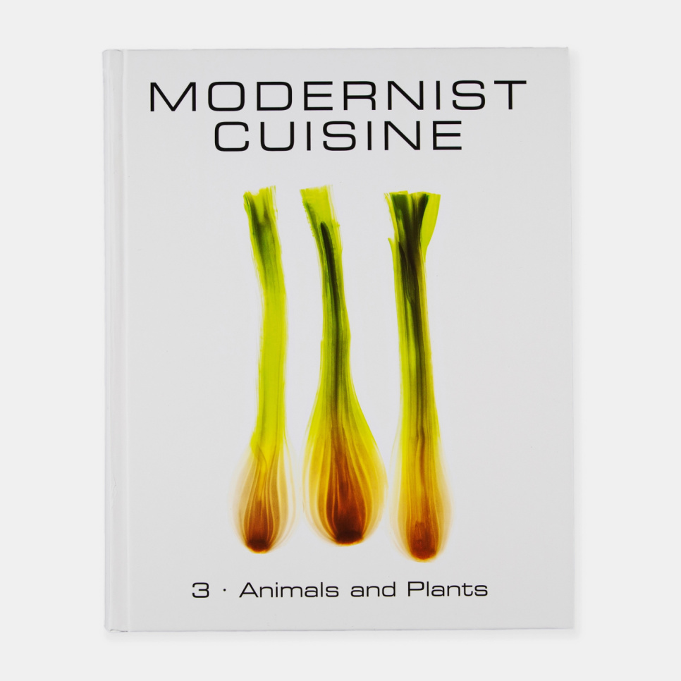 Modernistische Küche: Die Kunst und Wissenschaft des Kochens
