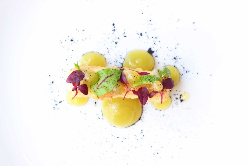 Agar-Agar (E406) - The Kitchen Lab