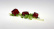 Carrageen Iota (E407a) - The Kitchen Lab