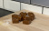 Bausatz für Weihnachtssüßigkeiten, Molekulargastronomie - The Kitchen Lab