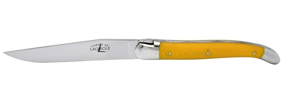 Satz von 6 handgefertigten Steakmessern, Micarta-Griffe - Forge de Laguiole