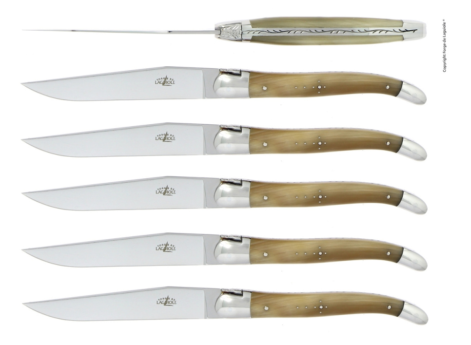 Sechs Messer, Griff aus hellem Horn, poliert, Tradition - Forge de Laguiole in der Gruppe Tischgedeck / Besteck / Messer bei The Kitchen Lab (1446-32913)