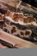 Sommeliermesser aus Holz von Vines, damasziert mit Dekoration, Kollektion - Forge de Laguiole