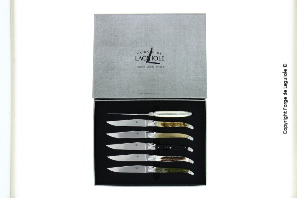 Sechs Messer, Griffe aus verschiedenen Tiermaterialien, poliert, Tradition - Forge de Laguiole