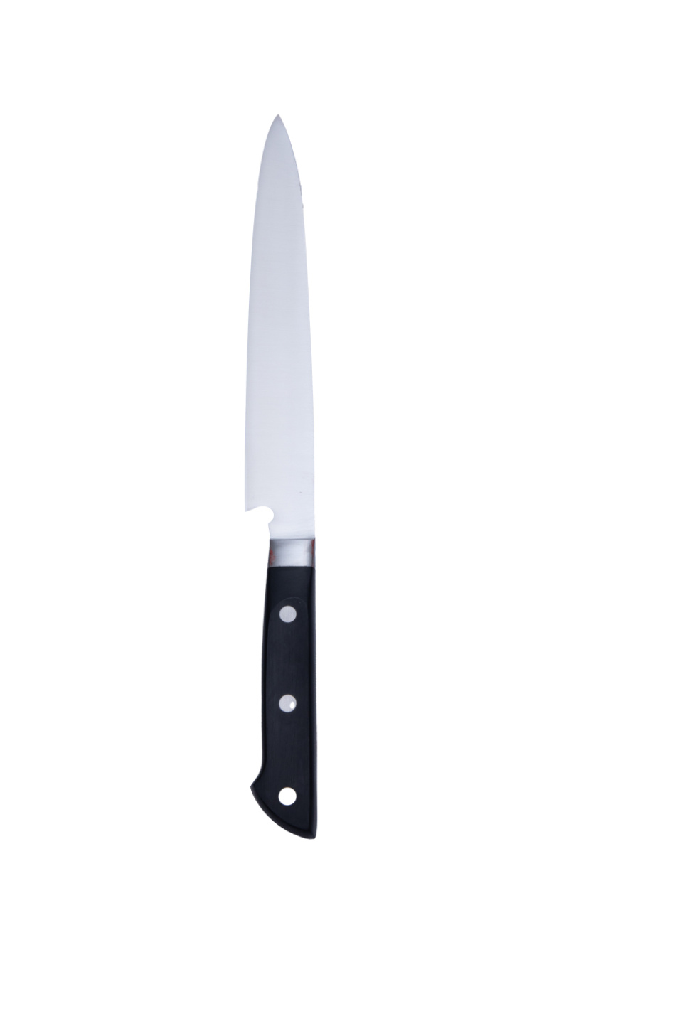 Yanagiba 21cm - Pro House