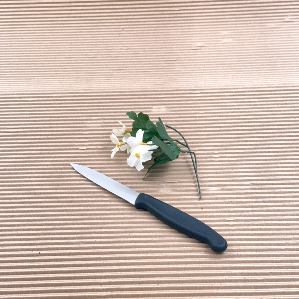 Das klassische kleine Schälmesser mit schwarzem Kunststoffgriff, 10cm - The Kitchen Lab