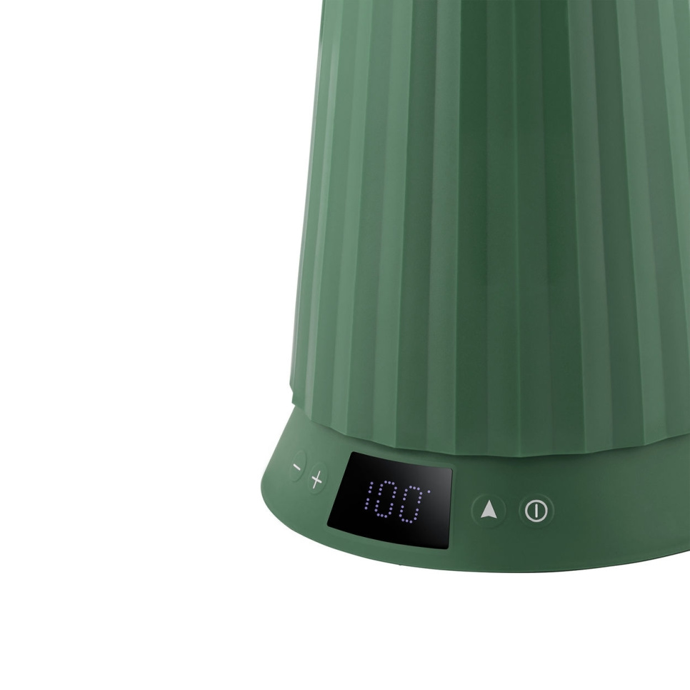 Wasserkocher mit Temperaturregelung, Plissé, Grün - Alessi