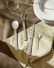Besteckset 24-teilig, Santiago - Alessi
