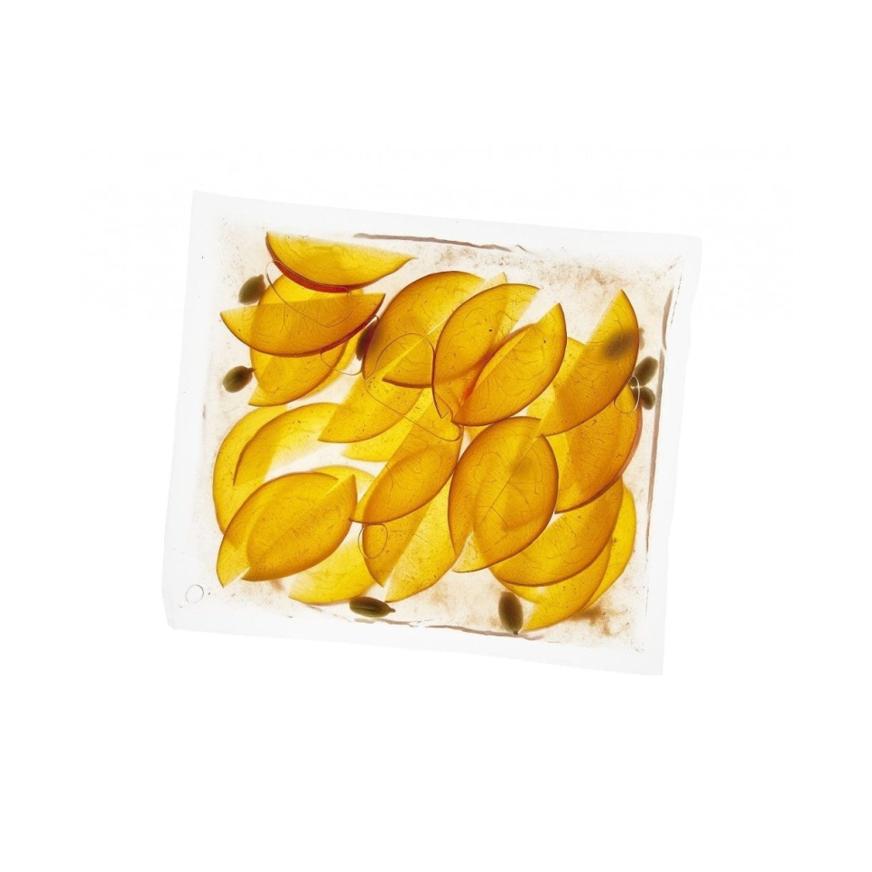 Vakuumbeutel für Kammersauger, auskochbar, 30x40cm, 200er Pack in der Gruppe Kochen / Sous Vide / Zip- und Vakuumbeutel bei The Kitchen Lab (1512-13794)
