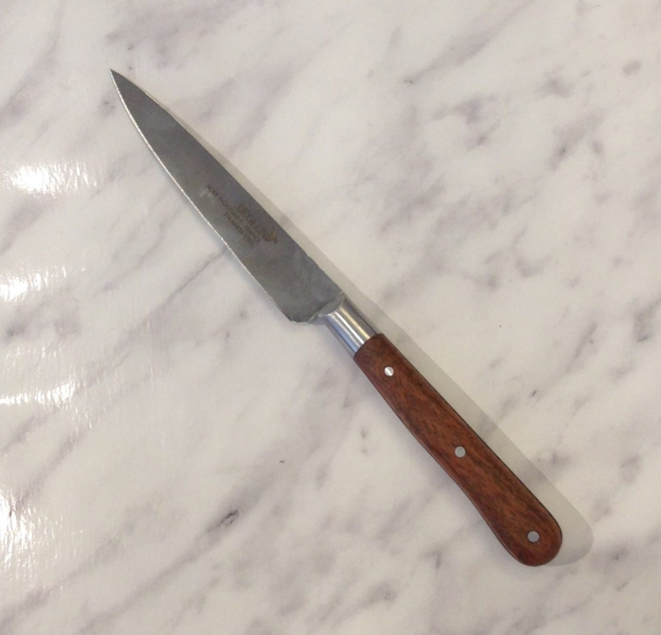 Steakmesser/Allzweckmesser 10 cm - Déglon in der Gruppe Tischgedeck / Besteck / Messer bei The Kitchen Lab (1525-14224)