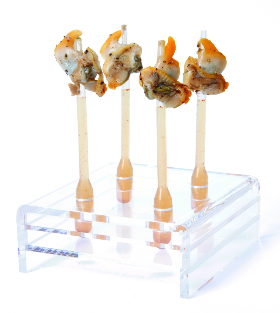 Pipette, konisch, 500er-Pack - 100 % Chef