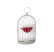 Cocktailglas, Vogel, Drink Like A Bird - 100% Chef