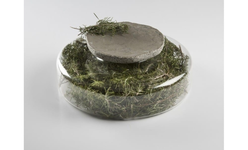 Advance Scene, Servierplatte aus Borosilikatglas - 100 % Chef