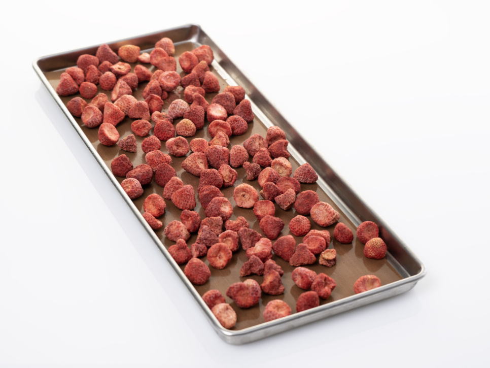 Antihaftbeschichtete Blätter für Lyo Chef L, 6er-Pack - Harvest Right