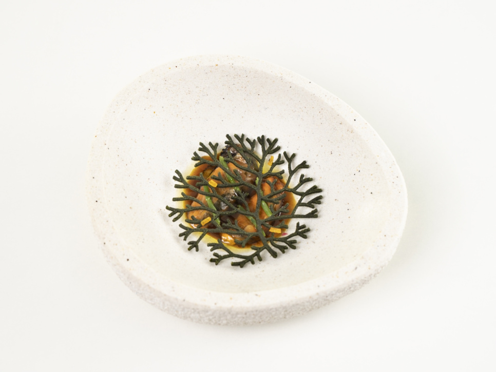 Silikonform für Tuille, Alg - 100% Chef