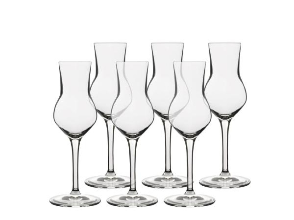 Grappa-Gläser, Atelier, 8 cl, 6er-Pack - Luigi Bormioli in der Gruppe Tischgedeck / Gläser / Spirituosengläser bei The Kitchen Lab (1544-30949)