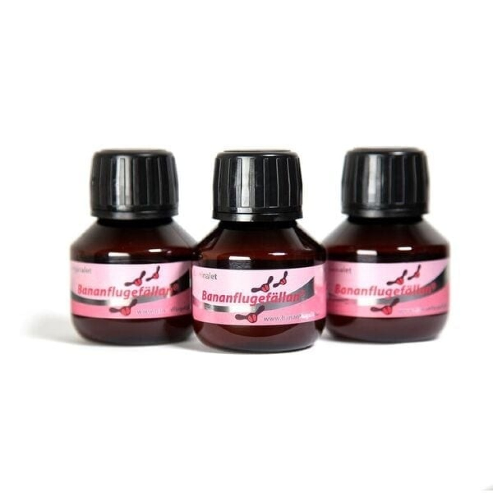 Die Bananenfliegenfalle in der Gruppe Kücheneinrichtung / Hygiene bei The Kitchen Lab (1617-15857)