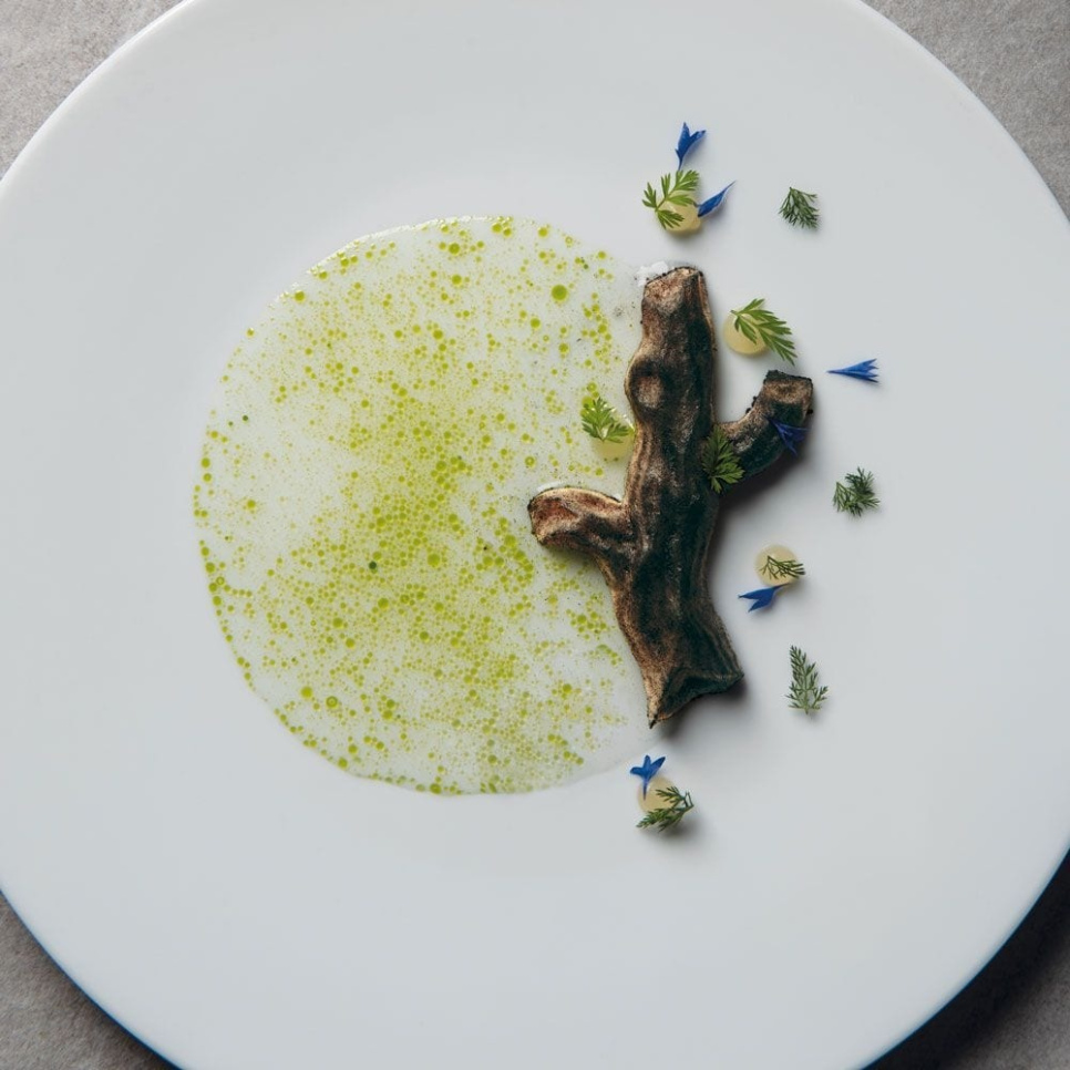 Silikonform, Baumstamm, Gourmand – Pavoni