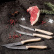 Steakmesser, 4er-Pack, Maxi Olive - Berkel