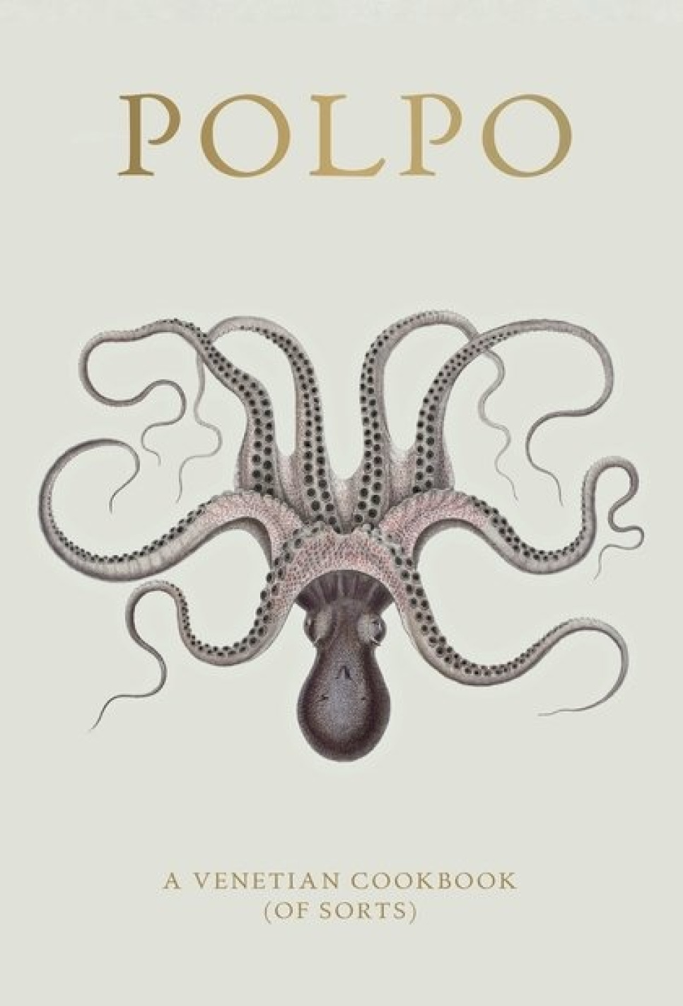 Polpo, ein venezianisches Kochbuch (der Sorte) - Russel Norman in der Gruppe Kochen / Kochbücher / Nationale & regionale Küche / Europa bei The Kitchen Lab (1987-26127)