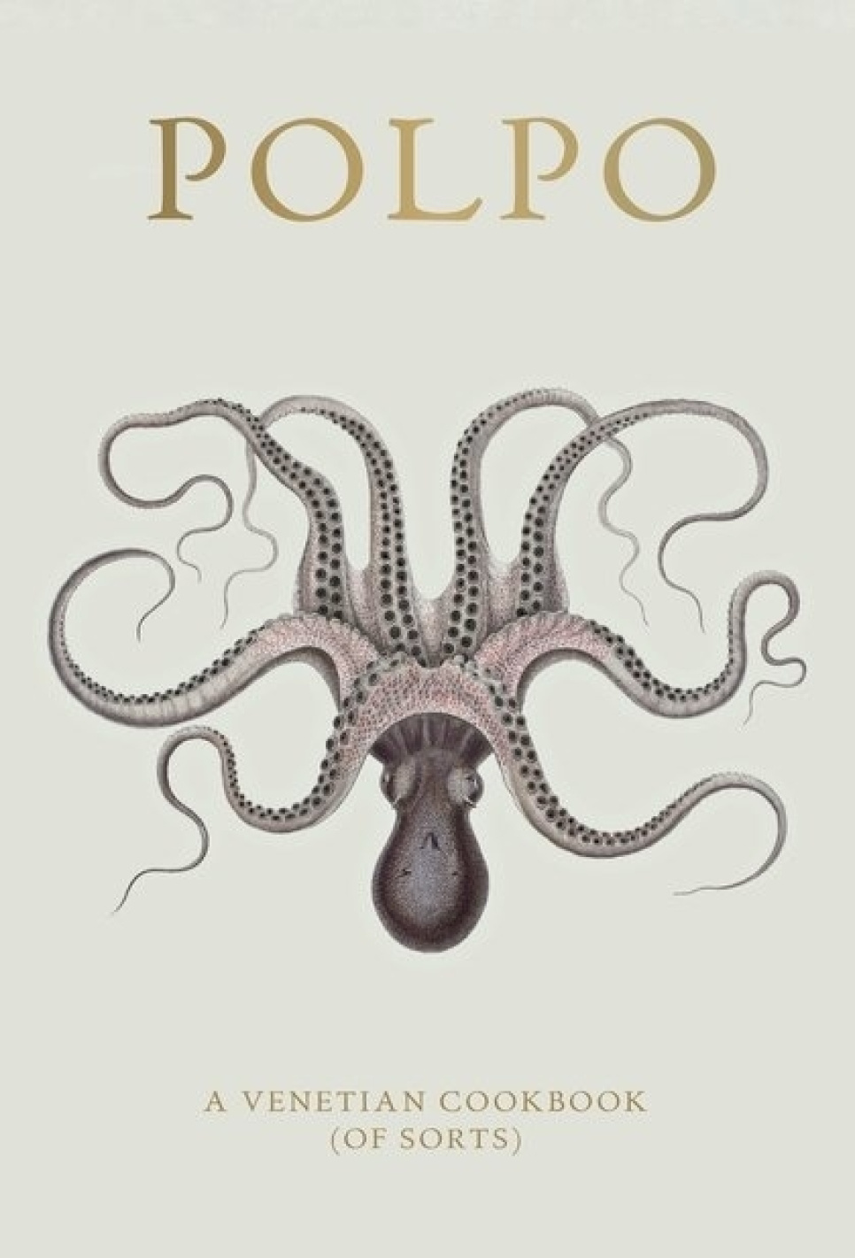 Polpo, A Venetian Cookbook (Of Sorts) - Russel Norman in der Gruppe Kochen / Kochbücher / Küchen & Kulturen / Italien bei The Kitchen Lab (1987-26127)