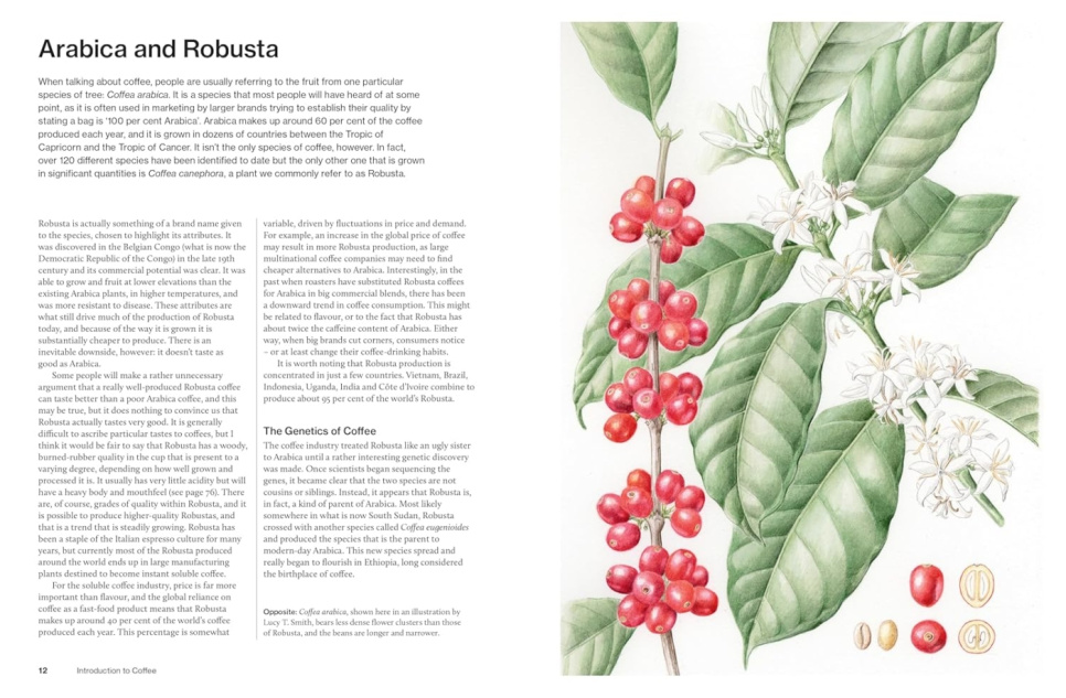 The World Atlas of Coffee, 3rd Edition - James Hoffmann