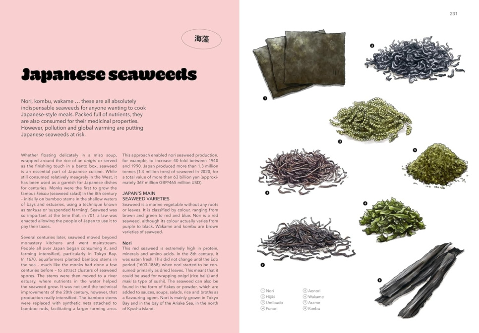 Japan - A Culinary Travel Diary - Clémence Leleu & Anna Shoji