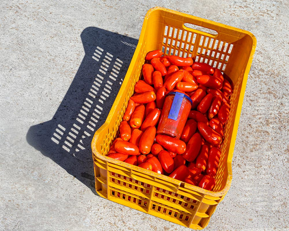 San Marzano Tomaten DOP, 420g - Casa Marrazzo