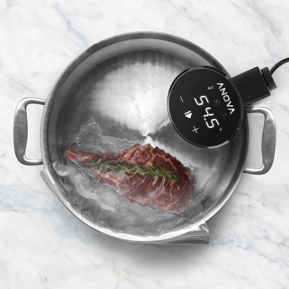 Anova Nano 2.0 - AN400-EU00 - Sous-vide-Zirkulator