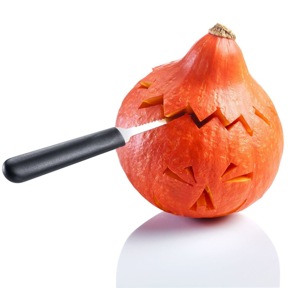 Kürbis-Dekorationswerkzeug, 4 Teile - Westmark
