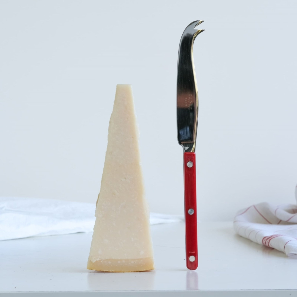 Käsemesser, Bistrot, Burgund - Sabre Paris