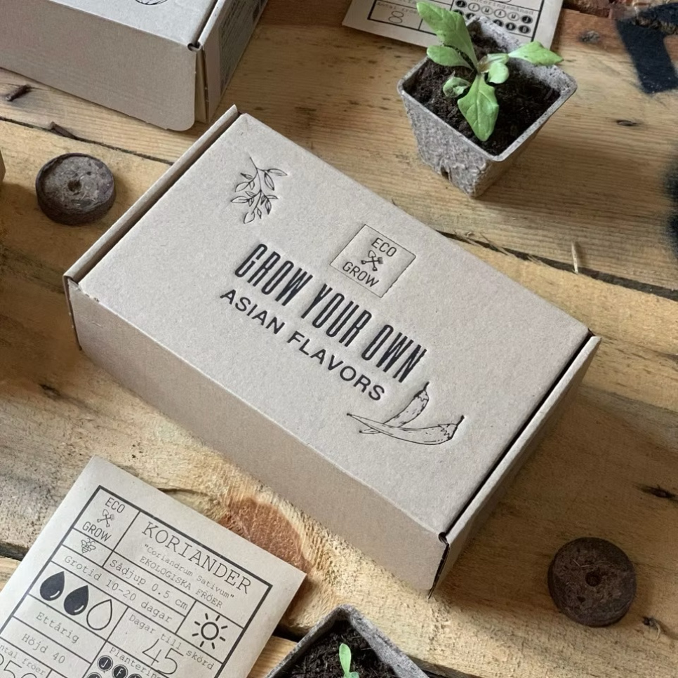 Anbausatz, asiatische Aromen (4 Stück) - Eco Grow