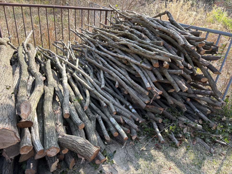 Holzkohle, Kishu-Binchotan aus Ubamegashi-Eiche, etwa 1 kg - Kisyu Sumikobo