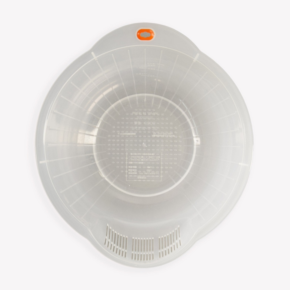 Japanische Plastik-Reisschale