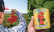 Whole peeled tomatoes, 794 g - Bianco DiNapoli