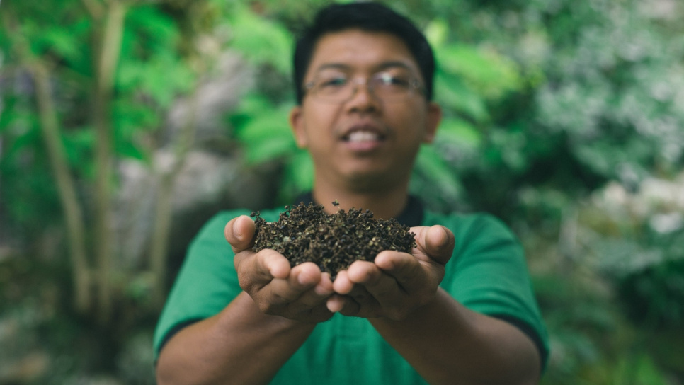 Pfeffer, Andaliman, Batak, 15 g - The Pepper Quest