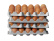 Kunststoff-Eierablage, 4er-Pack - Hendi