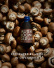 Mushroom Garum, 250 ml - Noma Projects